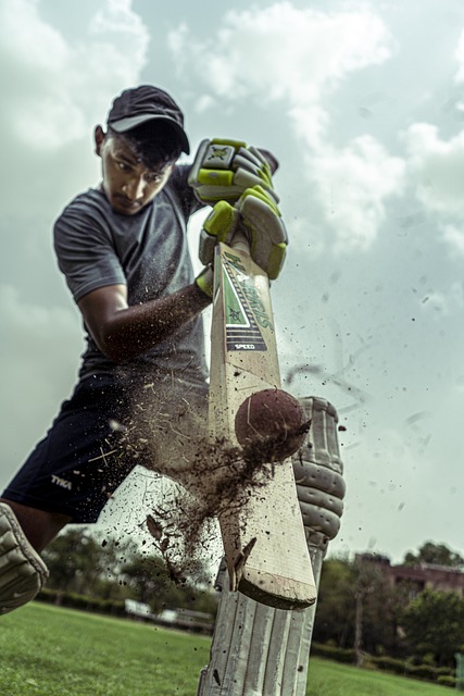 Cricket in Proverbs and Sayings: Examining the Language of the Game in Folklore