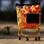 Reddybook Review: Features, Benefits, and Its Integration with 11xPlay